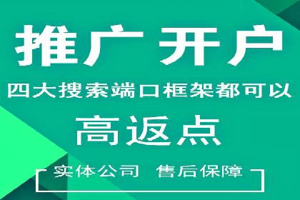 抖音信息流广告代理服务的市场现状与未来趋势